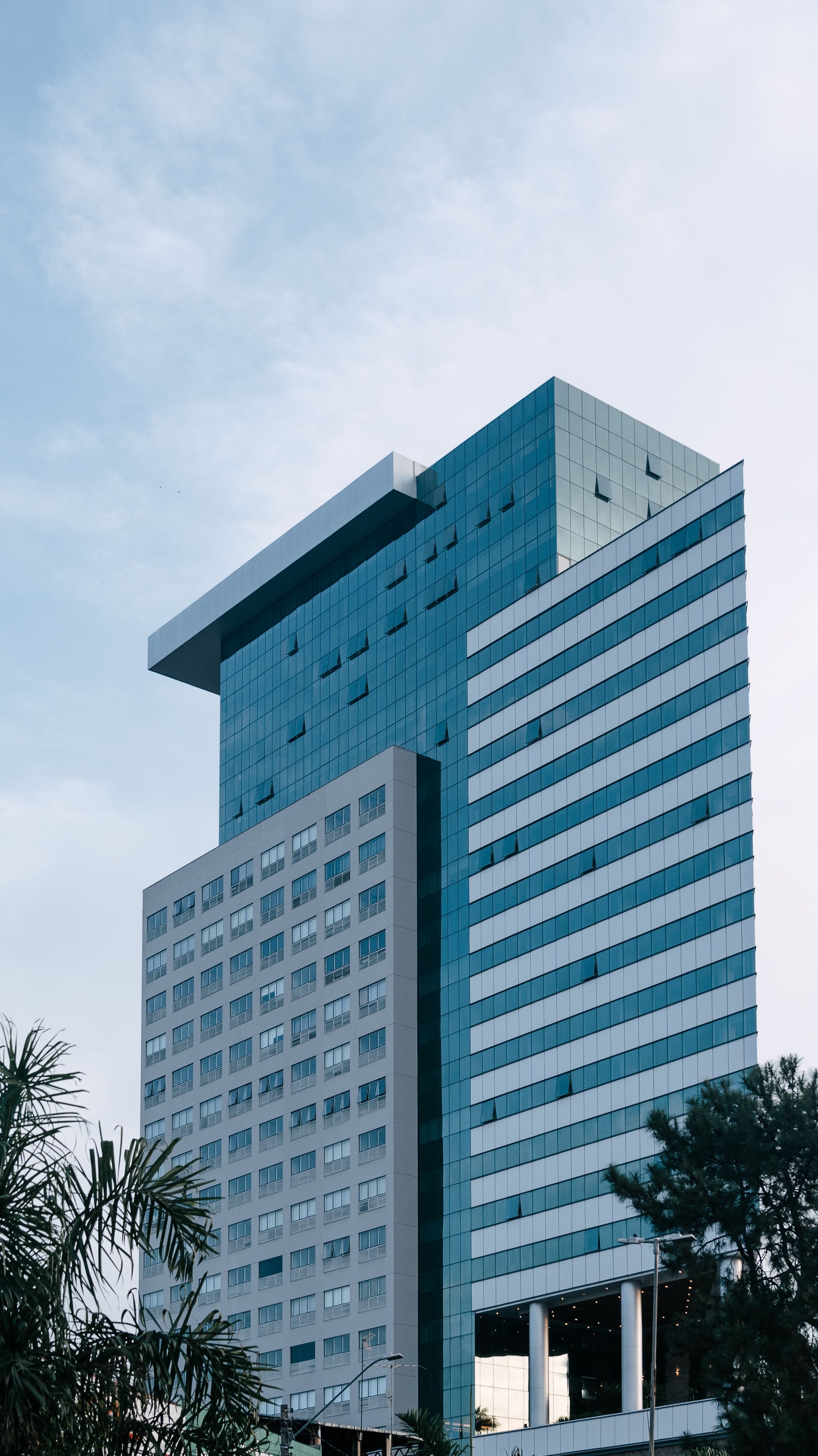 Subsidiary Management